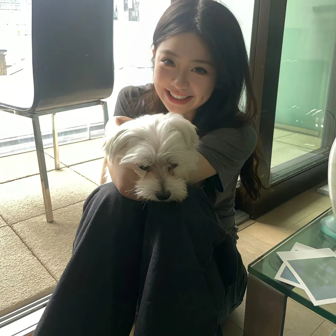 完美敌人